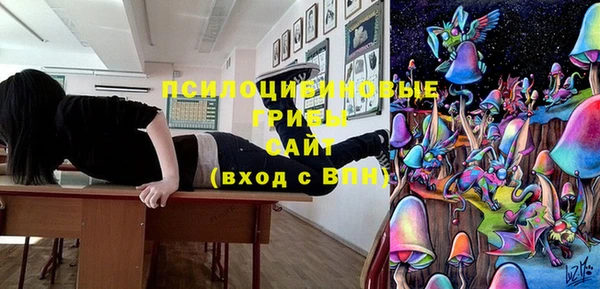 соль курить ск Алзамай