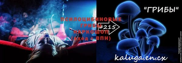 индика Алексин