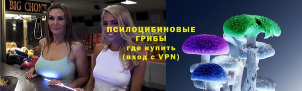 хмурый Абаза