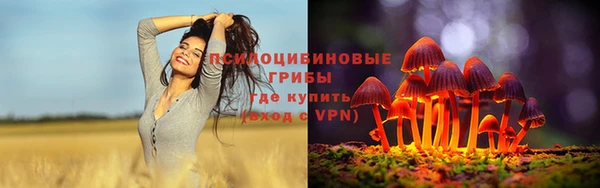 хмурый Абаза