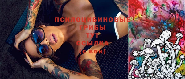 хмурый Абаза