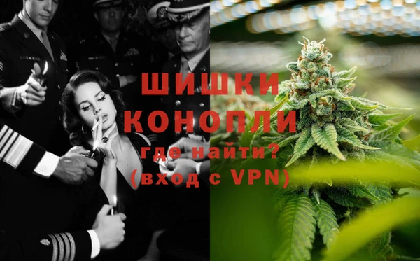 индика Алексин