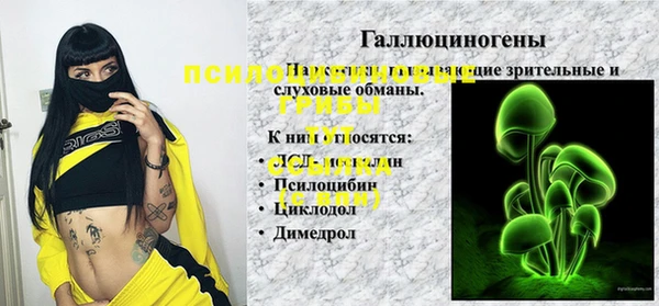 индика Алексин