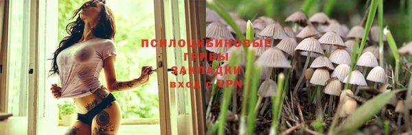 соль курить ск Алзамай