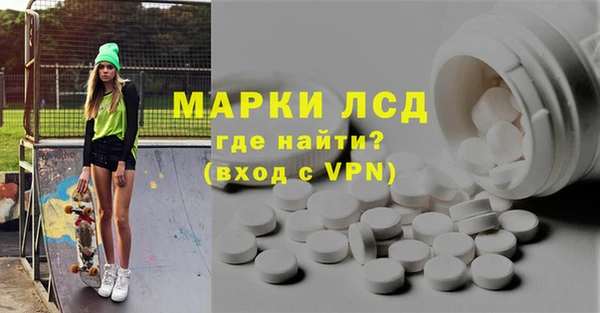 индика Алексин