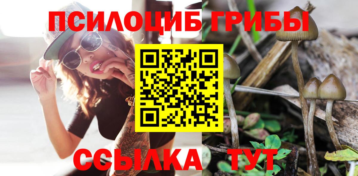 Норильск  Псилоцибиновые грибы Psilocybine cubensis  Псилоцибиновые грибы ЛСД  Вход с VPN 